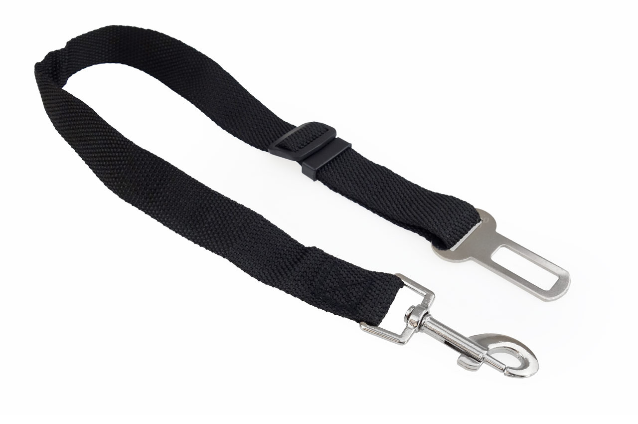 Auto pojas za kućne ljubimce