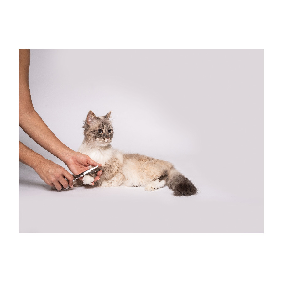 Trimer za kućne ljubimce BEURER PP 110 Fluffy