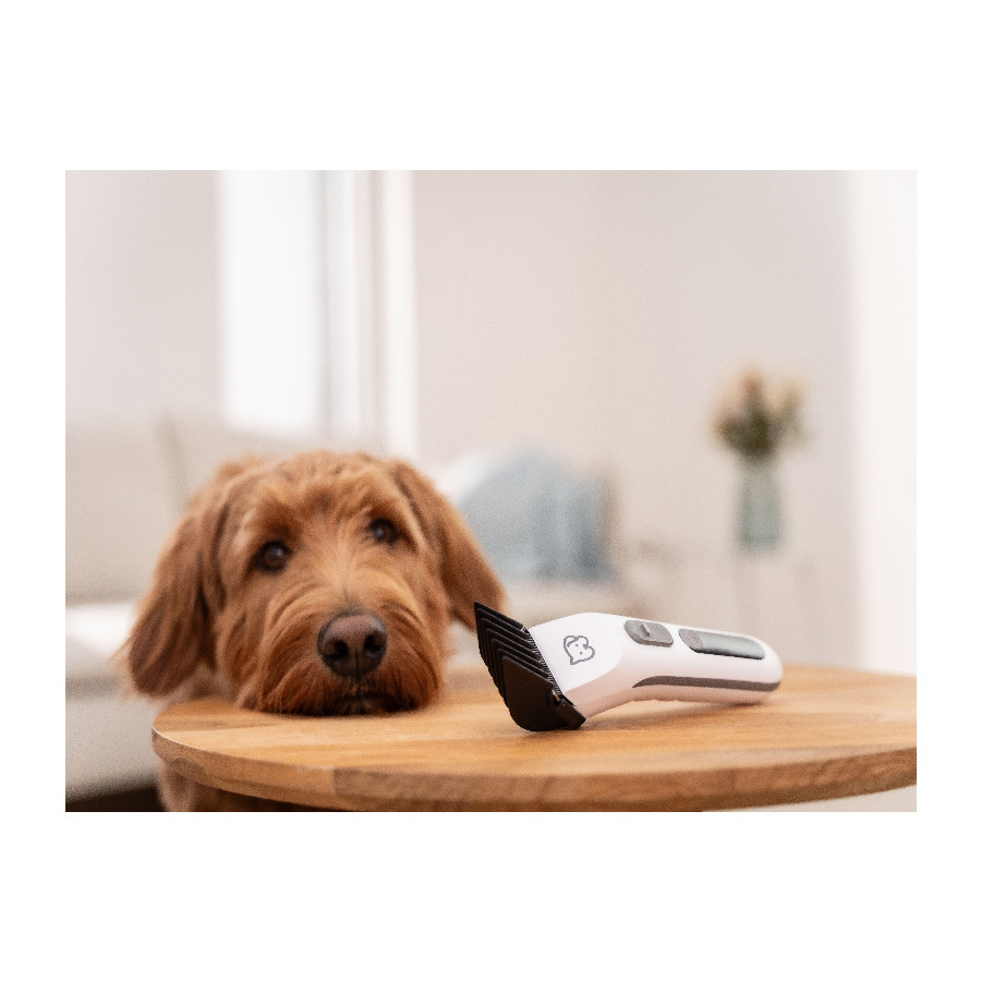 Trimer za kućne ljubimce BEURER PP 110 Fluffy