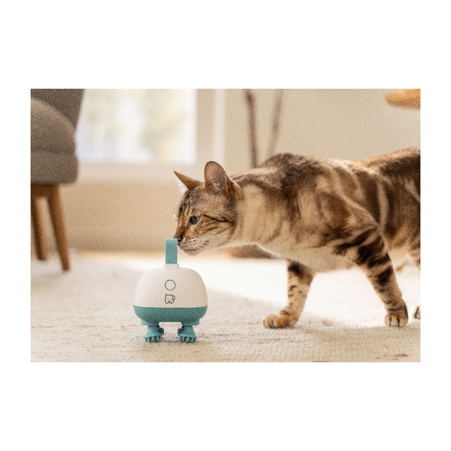 Masažer za kućne ljubimce BEURER PP 410 Buddy