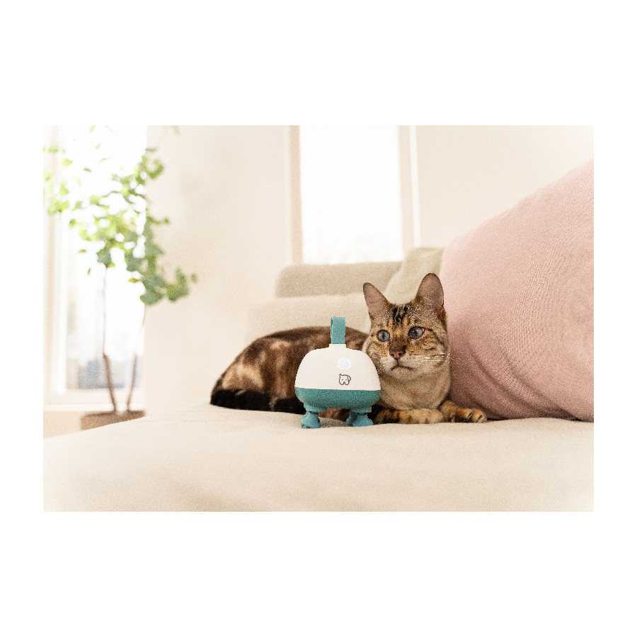 Masažer za kućne ljubimce BEURER PP 410 Buddy