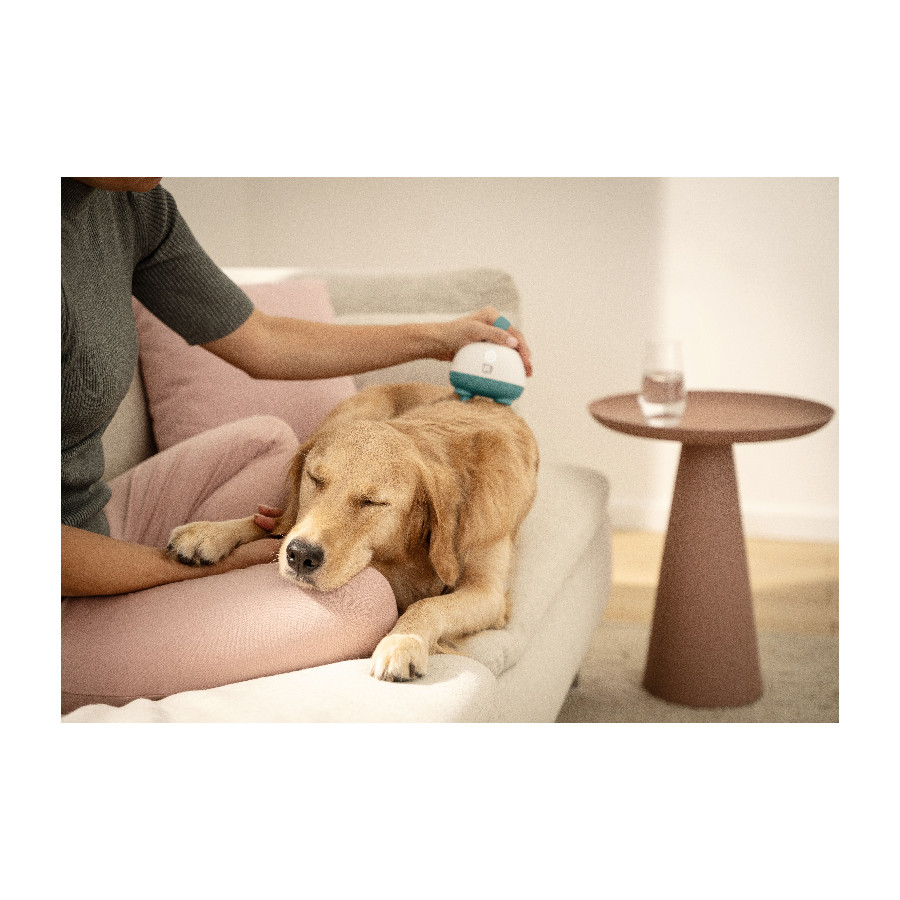 Masažer za kućne ljubimce BEURER PP 410 Buddy