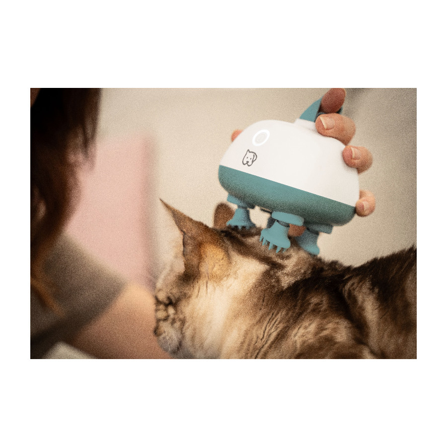 Masažer za kućne ljubimce BEURER PP 410 Buddy