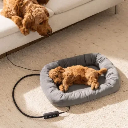 Grijač za kućne ljubimce BEURER PP 250 Kira