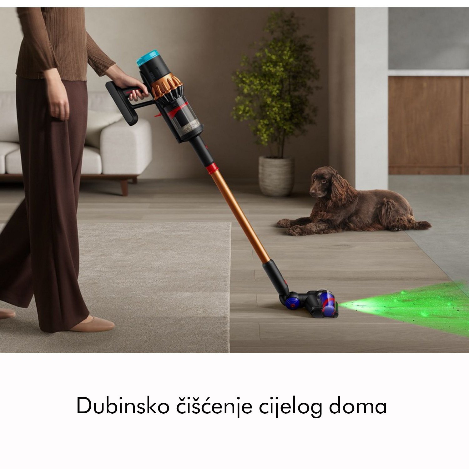 Bežični usisavač DYSON V16 Piston Animal