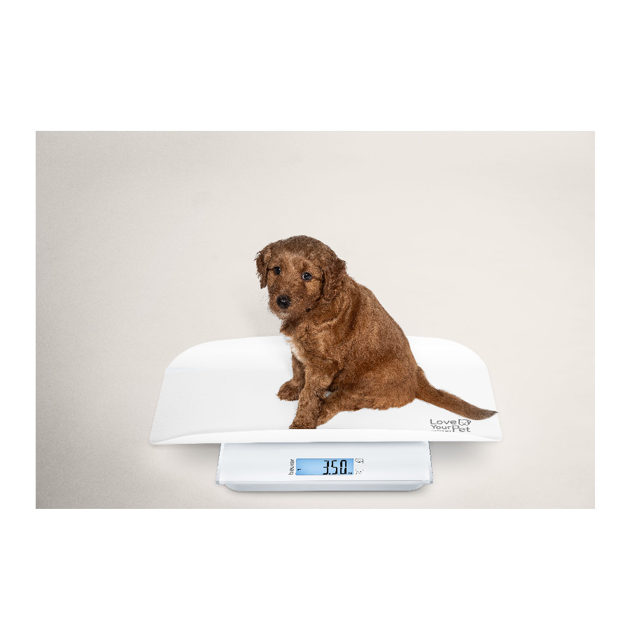 Vaga za kućne ljubimce BEURER PP 170 Polly