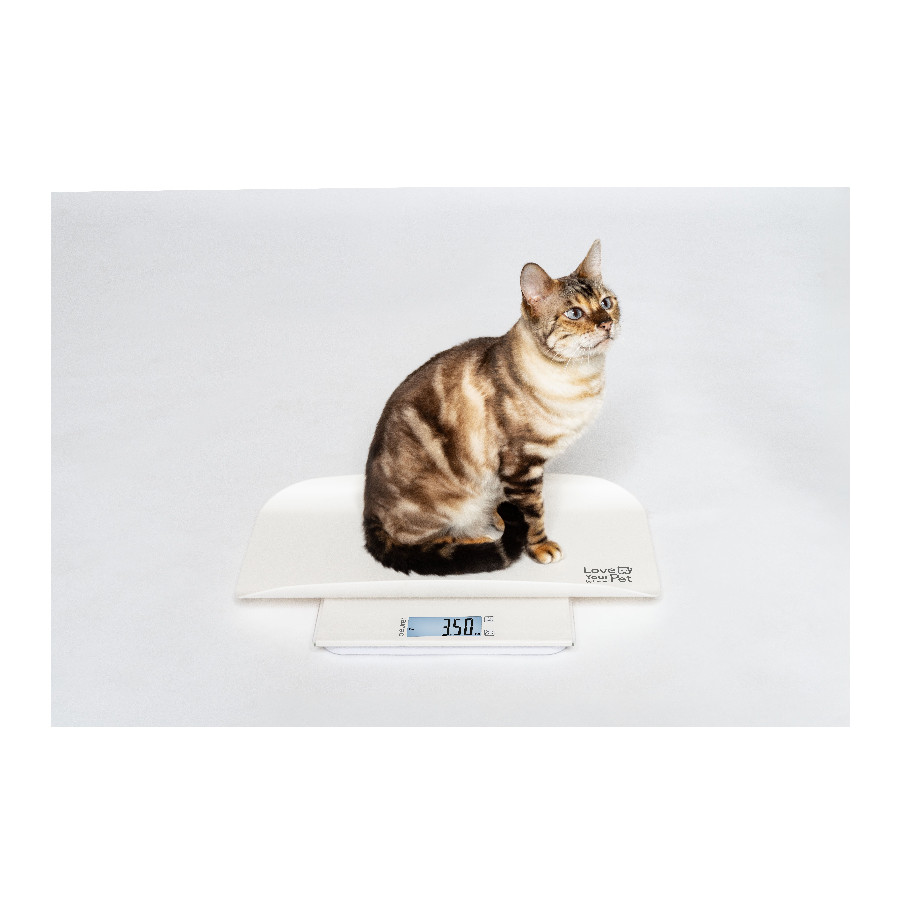 Vaga za kućne ljubimce BEURER PP 170 Polly