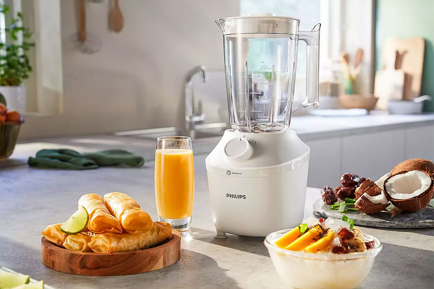 Blender PHILIPS HR2041/00