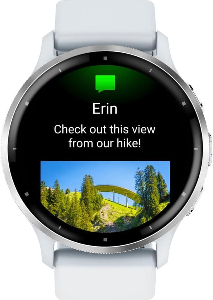 Pametni sat GARMIN Venu 3 Silver Whitestone