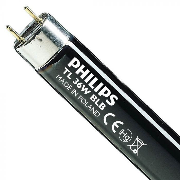 Fluo cijev G13 36W PHILIPS
