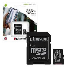 Memorijska kartica KINGSTON SD 256GB UHS-I CANVAS GO PLUS