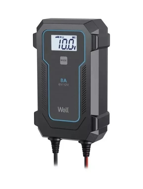 Punjač olovnih i LiFePO4 baterija  sa mikroprocesorom WELL
