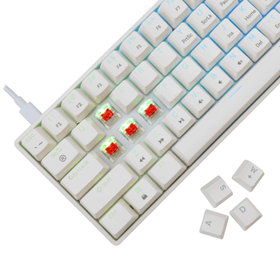 Gaming tastatura WHITE SHARK GK-004231 Shinobi-2 bijela