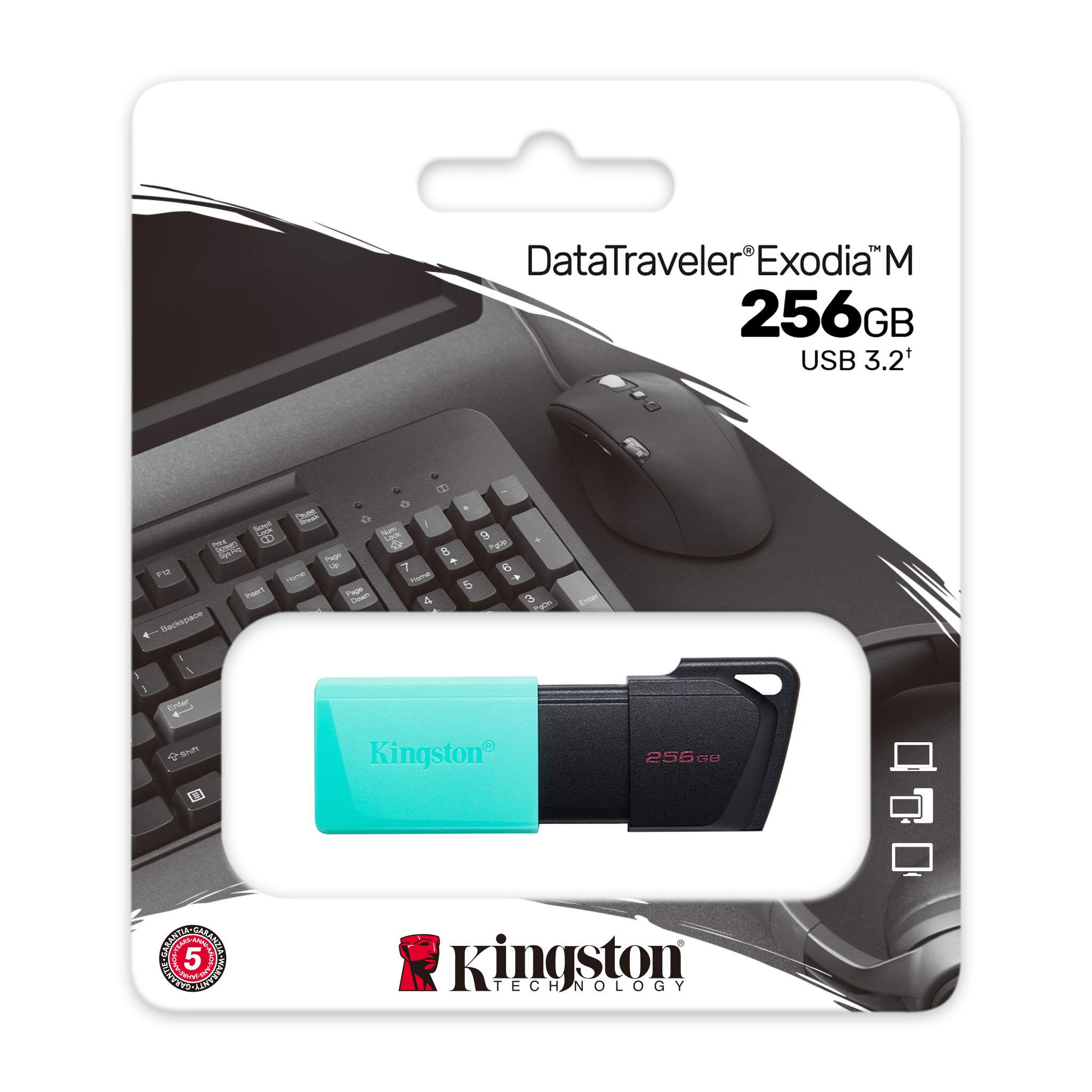 USB stick flash drive 256GB KINGSTON DT Exdia M DTXM/256GB
