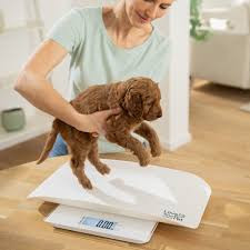 Vaga za kućne ljubimce BEURER PP 170 Polly