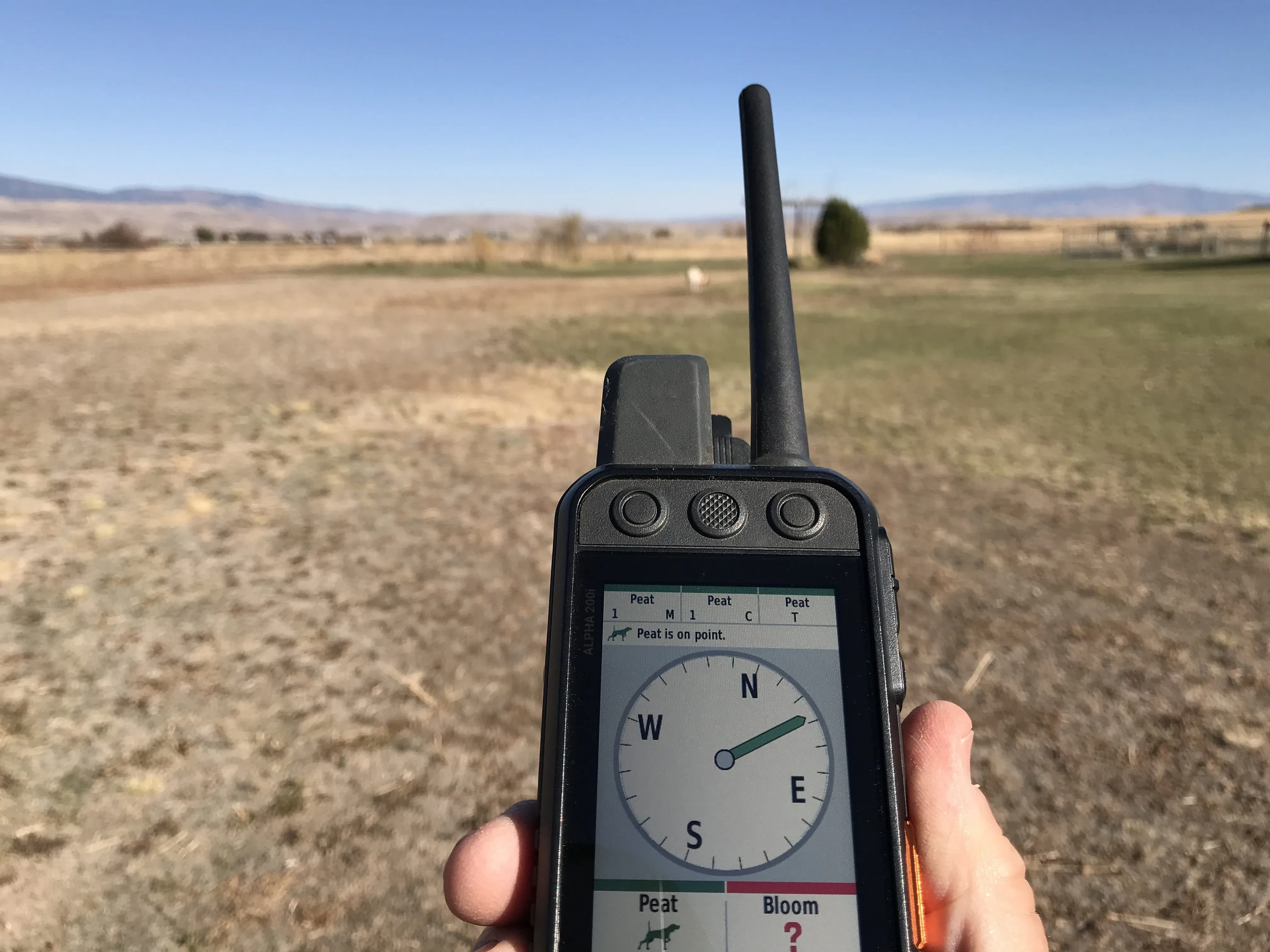 GPS uređaj za praćenje pasa GARMIN ALPHA 200HH