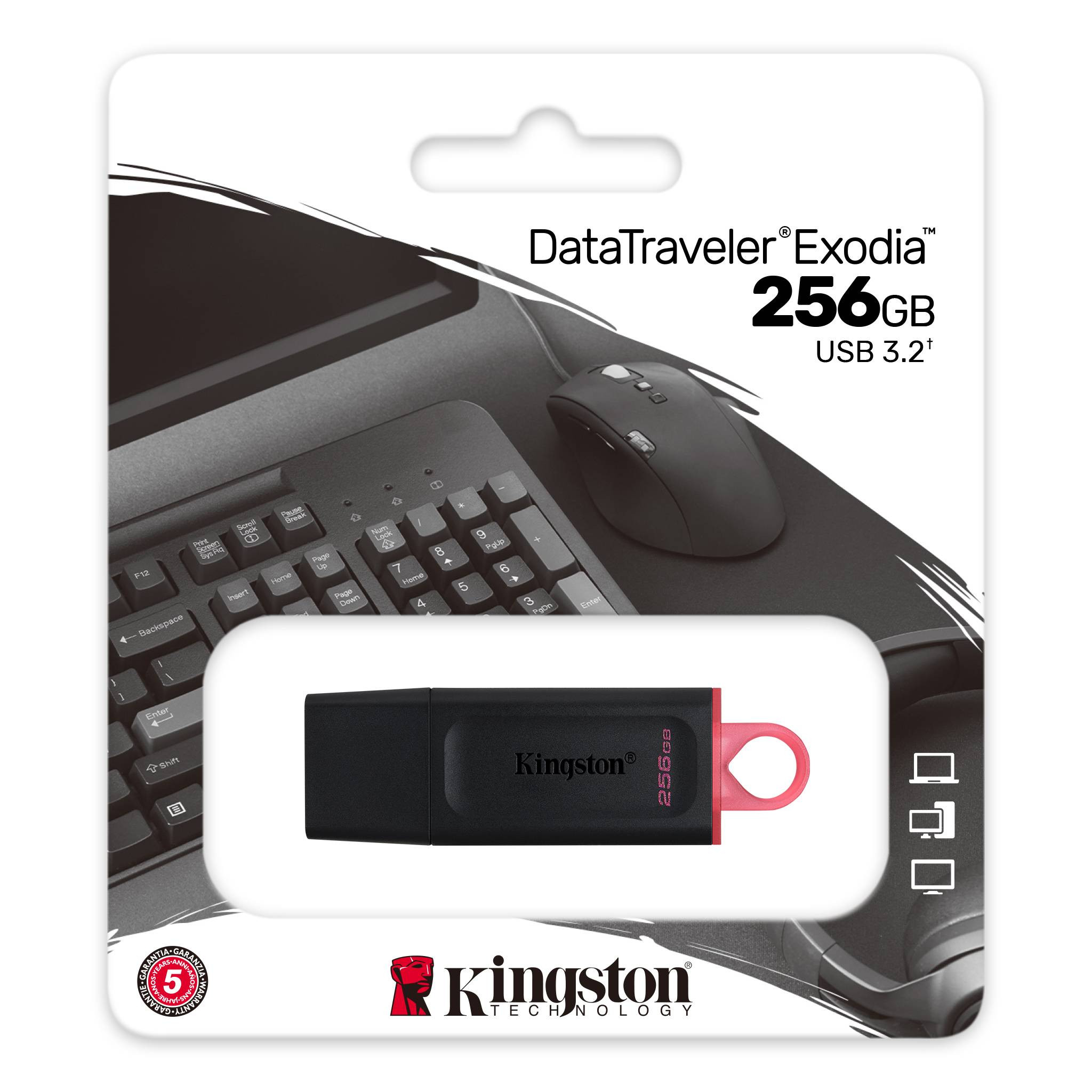 USB memorija flash drive 3.2 KINGSTON 256GB DT EXODIA GEN1