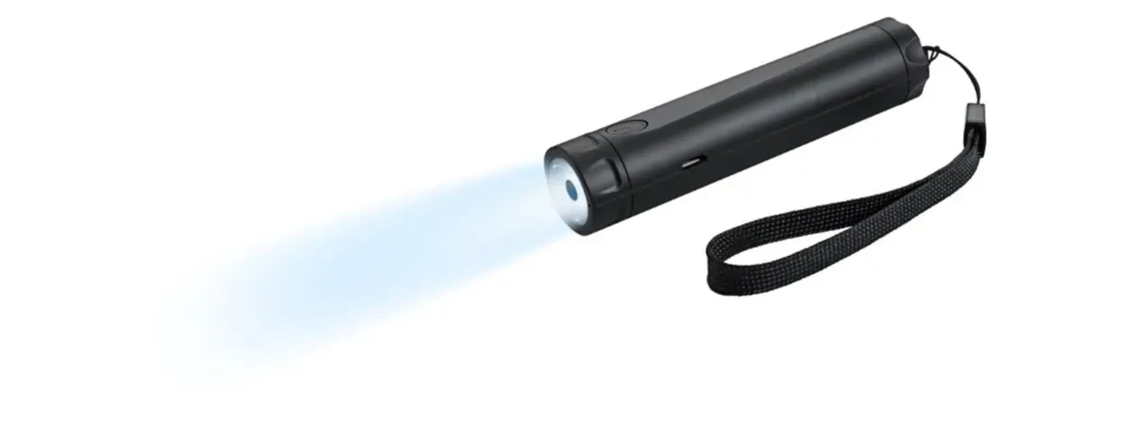 Powerbank GOOBAY 2600mAh 1W