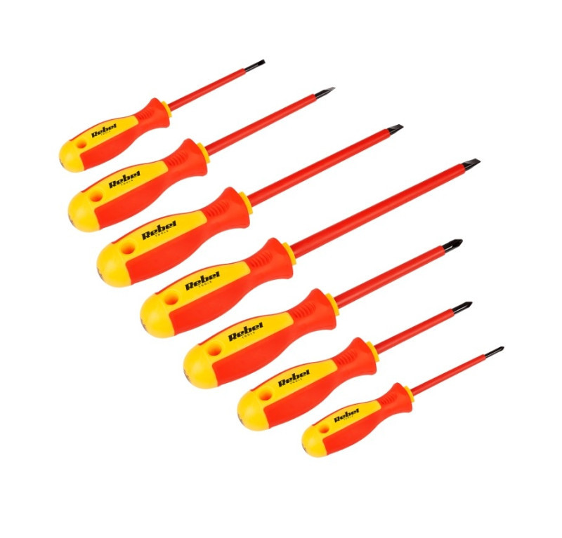 Set preciznih odvijača RB-1101
