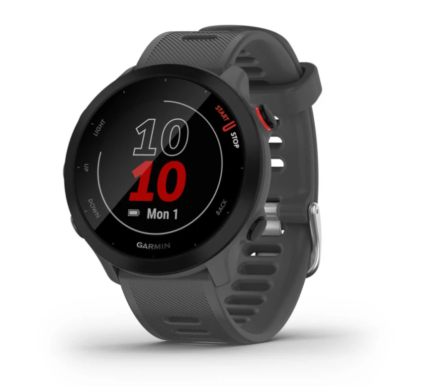 Pametni sat GARMIN Forerunner 55 Monterra Grey