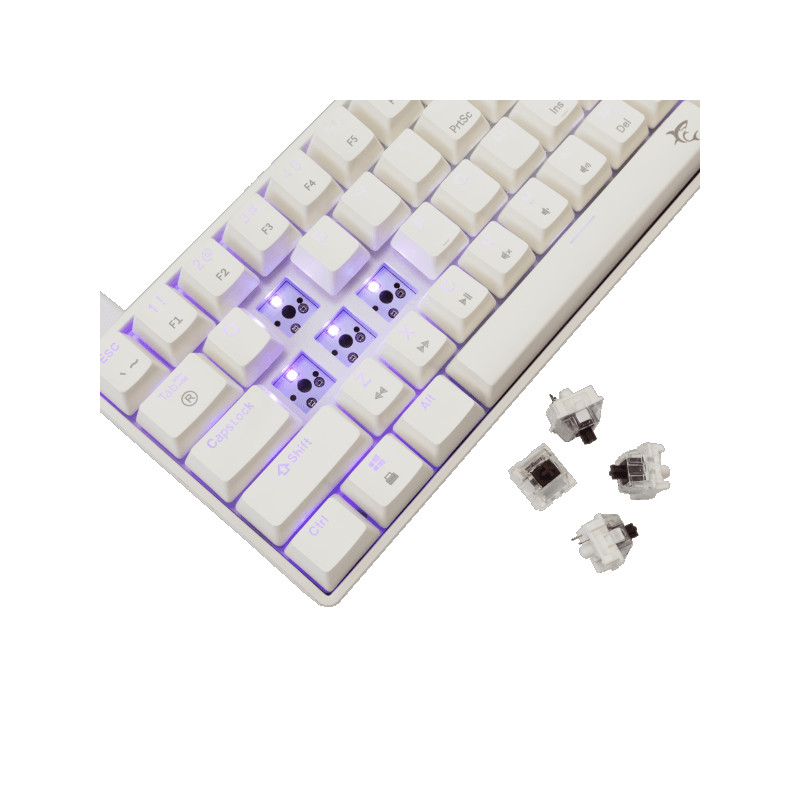 Gaming tastatura  WHITE SHARK Shinobi -2 GK-004232 bijela